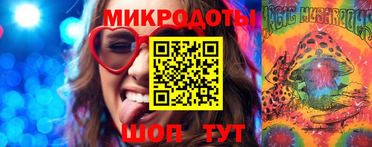 Галлюциногенные грибы Psilocybe Сухой Лог